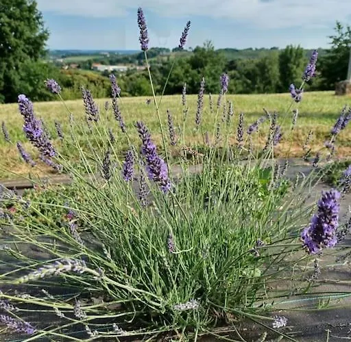 Maison Chaleureuse En Périgord Noir Casa vacanze Marcillac-Saint-Quentin